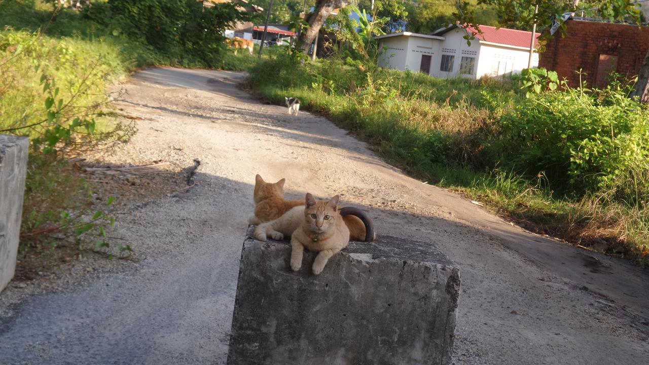 Experience Island Heritage Home Pantai Kok Dış mekan fotoğraf