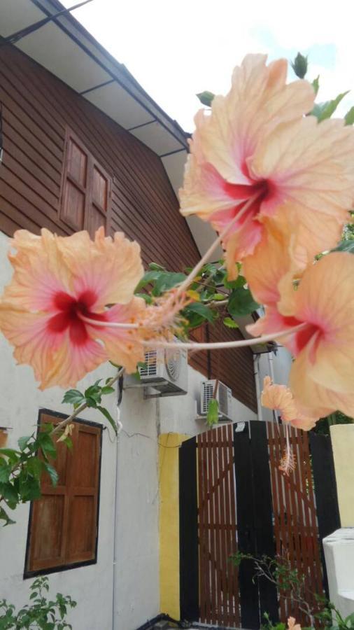 Experience Island Heritage Home Pantai Kok Dış mekan fotoğraf
